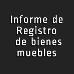 Informe de registro de bienes inmuebles